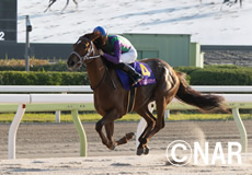 第13回 JBCレディスクラシック(JpnI)の模様