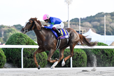 第14回 JBCレディスクラシック(JpnI)の模様