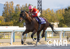 第21回 JBCスプリント(JpnI)の模様