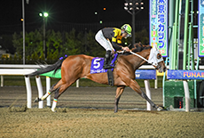 第2回　若潮スプリント（SIII）の模様