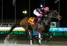 第68回　クイーン賞（JpnIII）