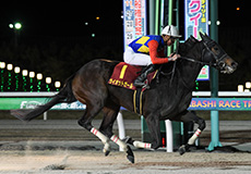 第69回　クイーン賞（JpnIII）の模様