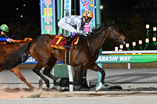 第71回　クイーン賞（JpnIII）の模様