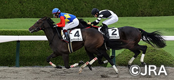 ライオットガール