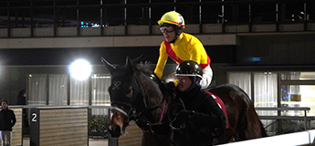 シンメルーブス