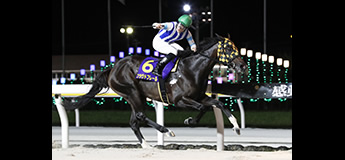 プラウドフレール