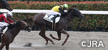 メモリアカフェ