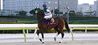 ホーリーグレイル