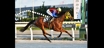 ブルーパッション