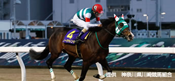 ノーヴァレンダ