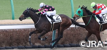 テリオスベル