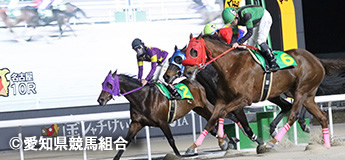 コウエイスーシェフ