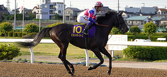 ビヨンドボーダーズ